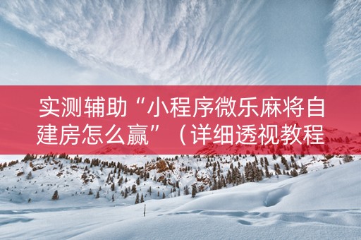 实测辅助“小程序微乐麻将自建房怎么赢”（详细透视教程）-哔哩哔哩