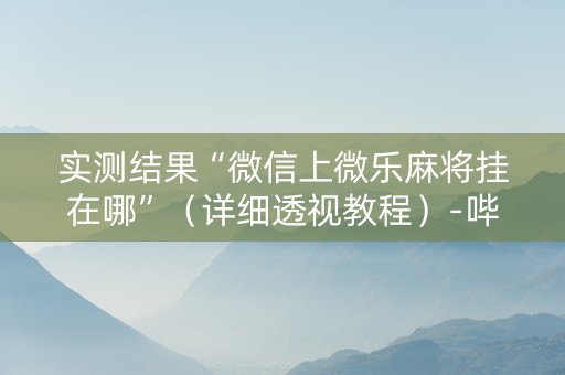 实测结果“微信上微乐麻将挂在哪”（详细透视教程）-哔哩哔哩