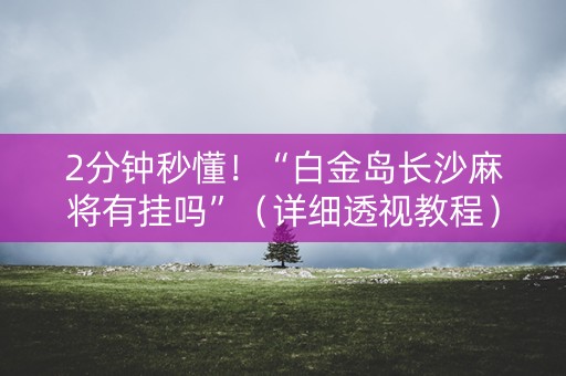 2分钟秒懂！“白金岛长沙麻将有挂吗”（详细透视教程）-哔哩哔哩