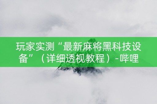 玩家实测“最新麻将黑科技设备”（详细透视教程）-哔哩哔哩