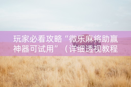 玩家必看攻略“微乐麻将助赢神器可试用”（详细透视教程）-哔哩哔哩
