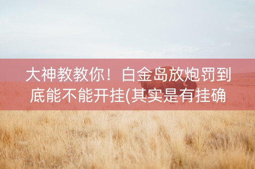 大神教教你！白金岛放炮罚到底能不能开挂(其实是有挂确实有挂)