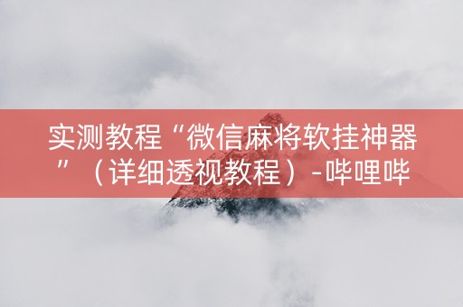 实测教程“微信麻将软挂神器”（详细透视教程）-哔哩哔哩