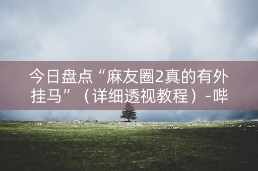 今日盘点“麻友圈2真的有外挂马”（详细透视教程）-哔哩哔哩