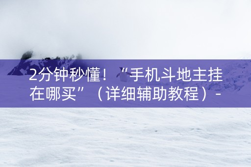 2分钟秒懂！“手机斗地主挂在哪买”（详细辅助教程）-哔哩哔哩