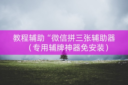 教程辅助“微信拼三张辅助器（专用辅牌神器免安装）