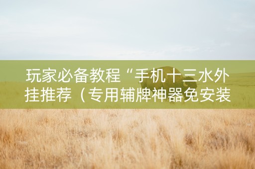 玩家必备教程“手机十三水外挂推荐（专用辅牌神器免安装）