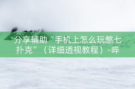 分享辅助“手机上怎么玩憋七扑克”（详细透视教程）-哔哩哔哩