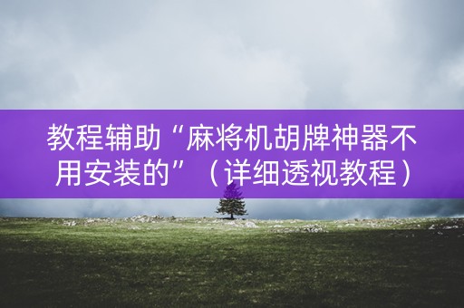 教程辅助“麻将机胡牌神器不用安装的”（详细透视教程）-哔哩哔哩