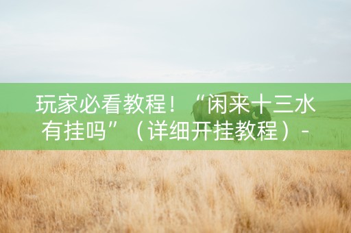 玩家必看教程！“闲来十三水有挂吗”（详细开挂教程）-哔哩哔哩