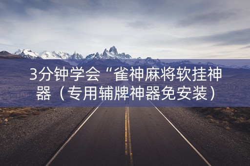 3分钟学会“雀神麻将软挂神器（专用辅牌神器免安装）