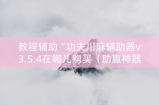 教程辅助“功夫川麻辅助器v3.5.4在哪儿购买（助赢神器通用版）