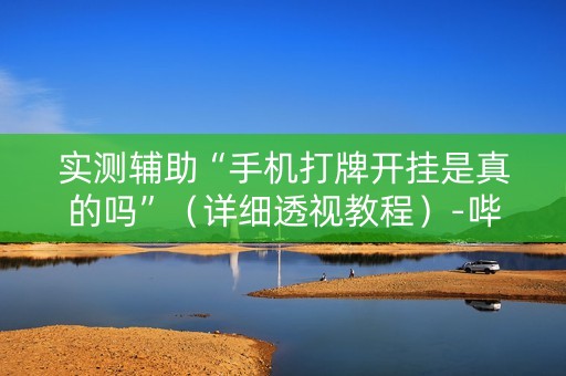 实测辅助“手机打牌开挂是真的吗”（详细透视教程）-哔哩哔哩