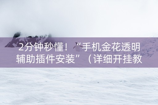 2分钟秒懂！“手机金花透明辅助插件安装”（详细开挂教程）-哔哩哔哩