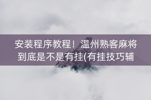 安装程序教程！温州熟客麻将到底是不是有挂(有挂技巧辅助器)