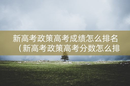 新高考政策高考成绩怎么排名（新高考政策高考分数怎么排名）