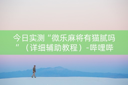 今日实测“微乐麻将有猫腻吗”（详细辅助教程）-哔哩哔哩