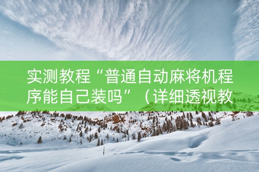 实测教程“普通自动麻将机程序能自己装吗”（详细透视教程）-哔哩哔哩