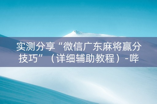 实测分享“微信广东麻将赢分技巧”（详细辅助教程）-哔哩哔哩