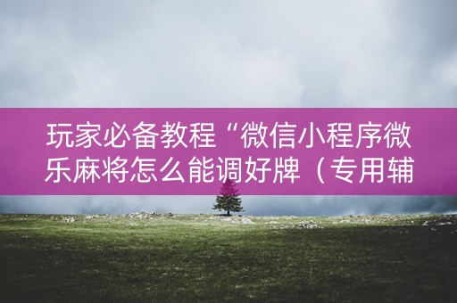 玩家必备教程“微信小程序微乐麻将怎么能调好牌（专用辅牌神器免安装）