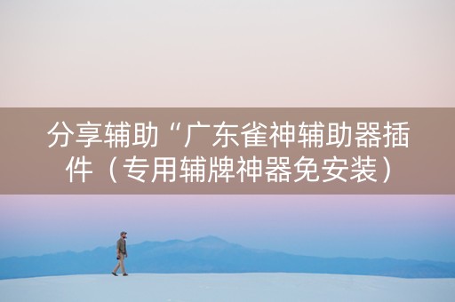 分享辅助“广东雀神辅助器插件（专用辅牌神器免安装）