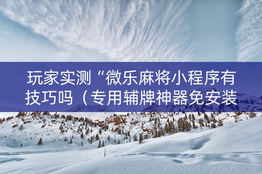 玩家实测“微乐麻将小程序有技巧吗（专用辅牌神器免安装）