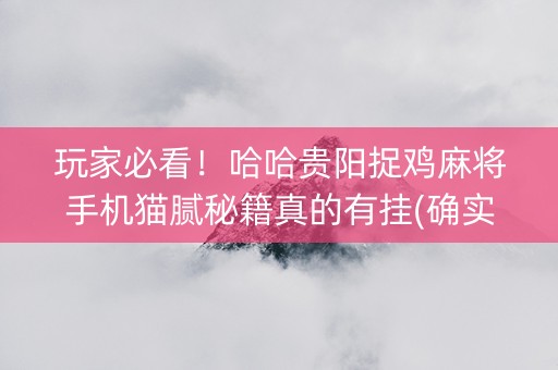 玩家必看！哈哈贵阳捉鸡麻将手机猫腻秘籍真的有挂(确实有挂)