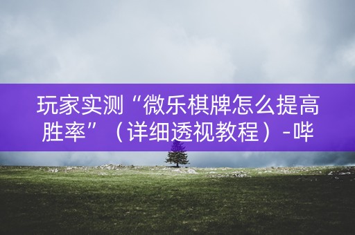 玩家实测“微乐棋牌怎么提高胜率”（详细透视教程）-哔哩哔哩