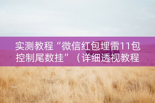 实测教程“微信红包埋雷11包控制尾数挂”（详细透视教程）-哔哩哔哩