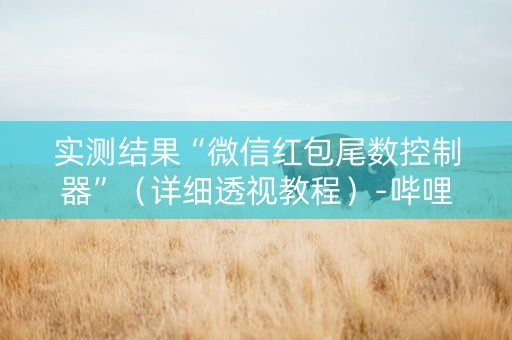 实测结果“微信红包尾数控制器”（详细透视教程）-哔哩哔哩