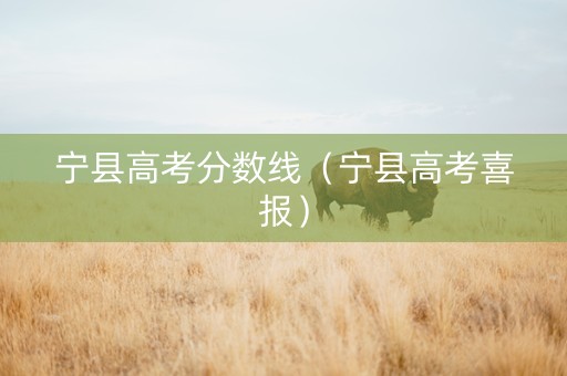宁县高考分数线（宁县高考喜报）