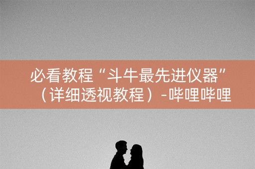 必看教程“斗牛最先进仪器”（详细透视教程）-哔哩哔哩