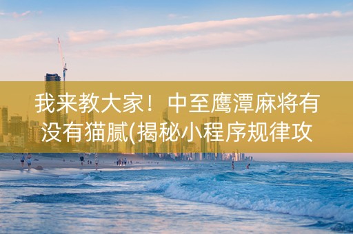 我来教大家！中至鹰潭麻将有没有猫腻(揭秘小程序规律攻略)