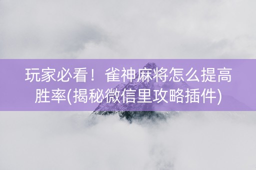 玩家必看！雀神麻将怎么提高胜率(揭秘微信里攻略插件)
