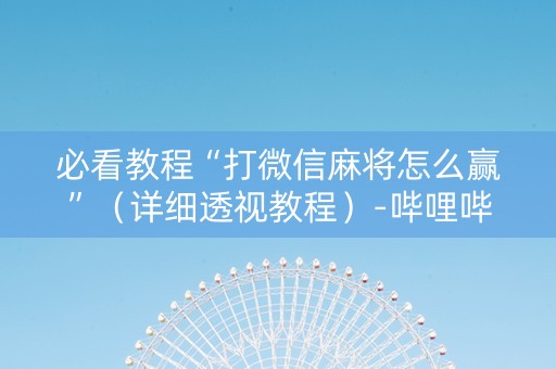 必看教程“打微信麻将怎么赢”（详细透视教程）-哔哩哔哩