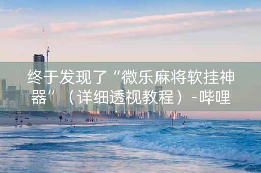 终于发现了“微乐麻将软挂神器”（详细透视教程）-哔哩哔哩