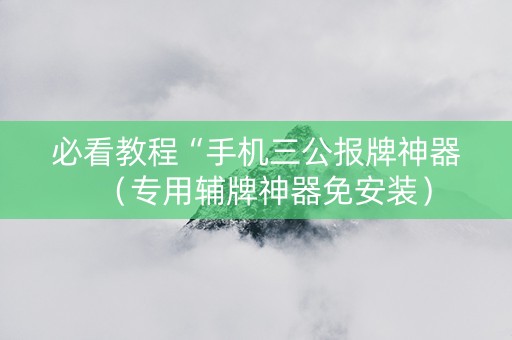 必看教程“手机三公报牌神器（专用辅牌神器免安装）