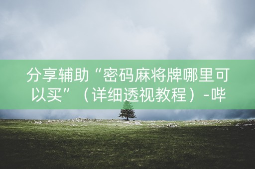 分享辅助“密码麻将牌哪里可以买”（详细透视教程）-哔哩哔哩