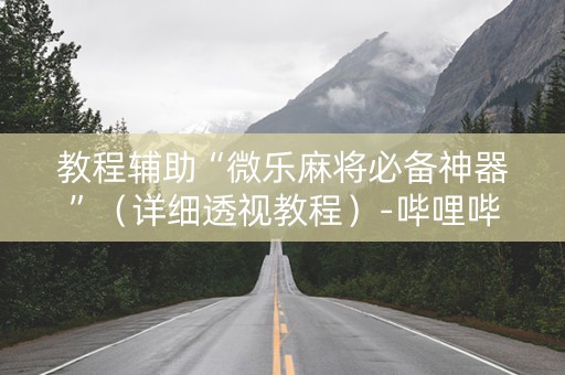 教程辅助“微乐麻将必备神器”（详细透视教程）-哔哩哔哩