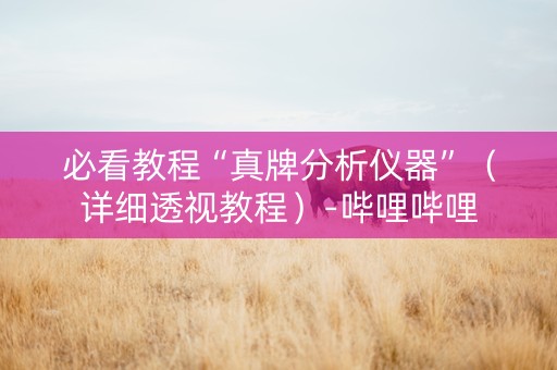 必看教程“真牌分析仪器”（详细透视教程）-哔哩哔哩