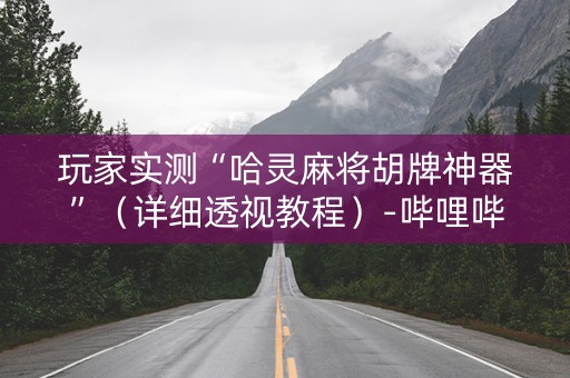 玩家实测“哈灵麻将胡牌神器”（详细透视教程）-哔哩哔哩