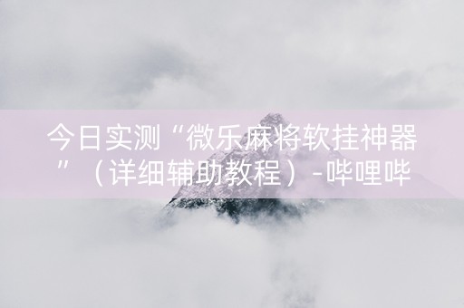 今日实测“微乐麻将软挂神器”（详细辅助教程）-哔哩哔哩