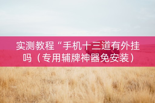 实测教程“手机十三道有外挂吗（专用辅牌神器免安装）
