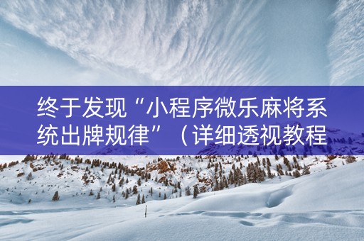 终于发现“小程序微乐麻将系统出牌规律”（详细透视教程）-哔哩哔哩