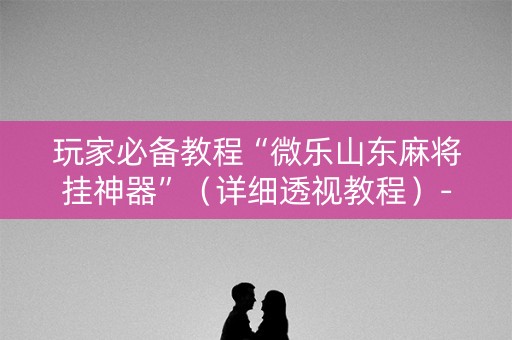 玩家必备教程“微乐山东麻将挂神器”（详细透视教程）-哔哩哔哩