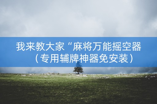 我来教大家“麻将万能摇空器（专用辅牌神器免安装）