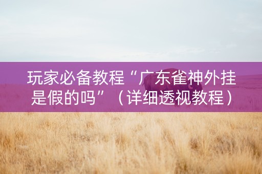玩家必备教程“广东雀神外挂是假的吗”（详细透视教程）-哔哩哔哩