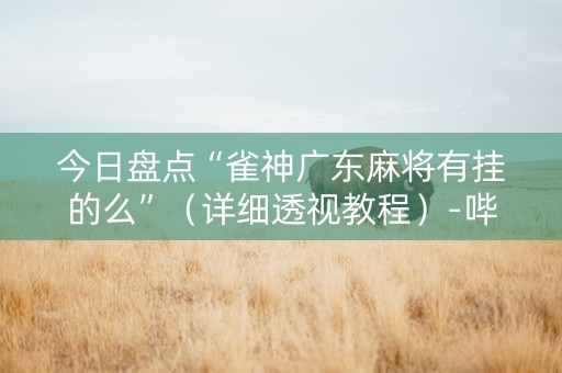 今日盘点“雀神广东麻将有挂的么”（详细透视教程）-哔哩哔哩