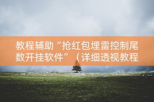 教程辅助“抢红包埋雷控制尾数开挂软件”（详细透视教程）-哔哩哔哩