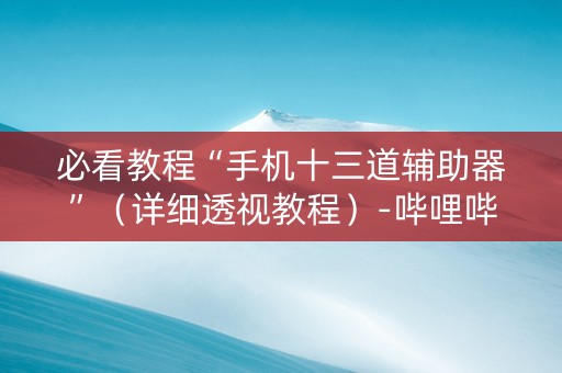 必看教程“手机十三道辅助器”（详细透视教程）-哔哩哔哩